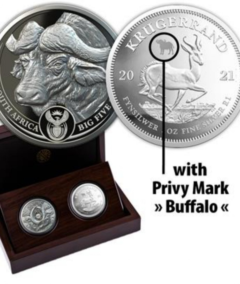  Südafrika - 2021 - Big Five I Büffel + Krügerrand Satz (5.Ausgabe) - 2 x 1 Oz Silber PP   