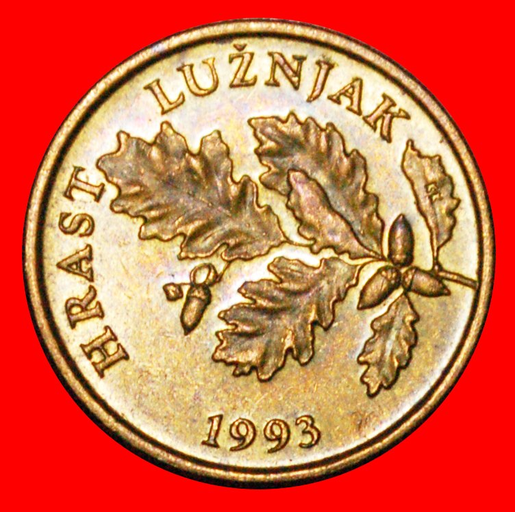  * RED OAK (1993-2019): CROATIA ★ 5 LIPA 1993 MINT LUSTRE! LOW START ★ NO RESERVE!   