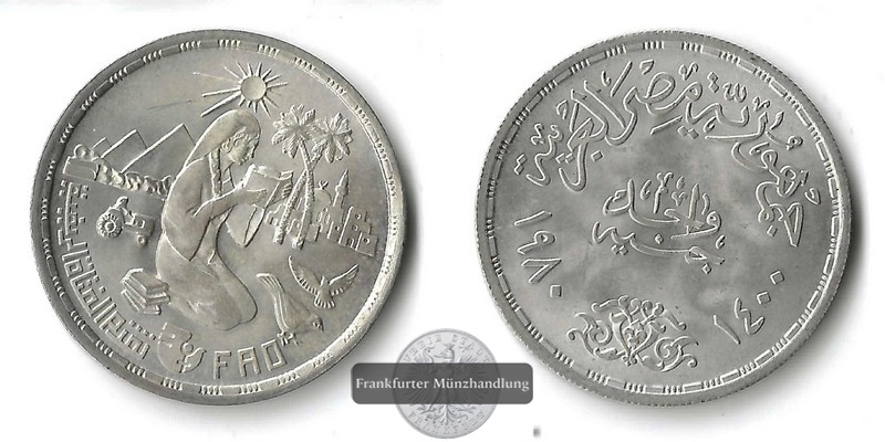  Ägypten, 1 Pound  1980 Ernährungs- und Landwirtschaftsorganisation  FM-Frankfurt  Feingsilber: 10,8g   