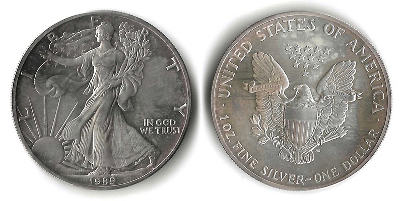  USA  1 Dollar  1989  American Eagle   FM-Frankfurt     Feinsilber: 31,11g   