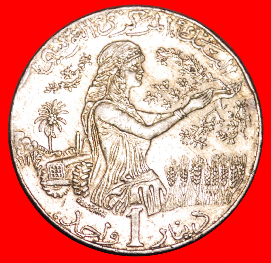 * DISCOVERY COIN FAO SHIP: TUNISIA ★ 1 DINAR 1430-2009! LOW START★ NO RESERVE!