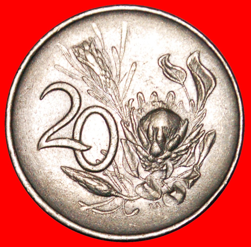 * DISCOVERY COIN FLOWER: SOUTH AFRICA ★ 20 CENTS 1965 ENGLISH LEGEND! LOW START ★ NO RESERVE!
