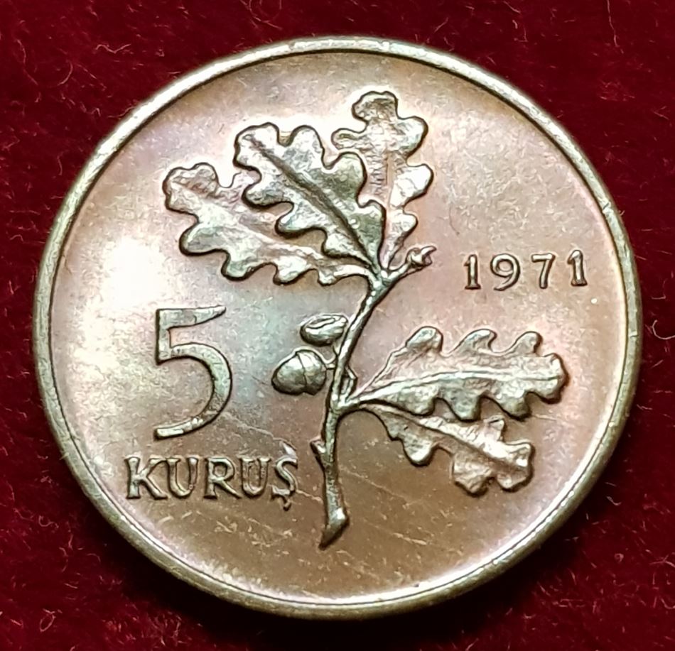  8295(6) 5 Kurus (Türkei) 1971 in unc- ............................................. von Berlin_coins   