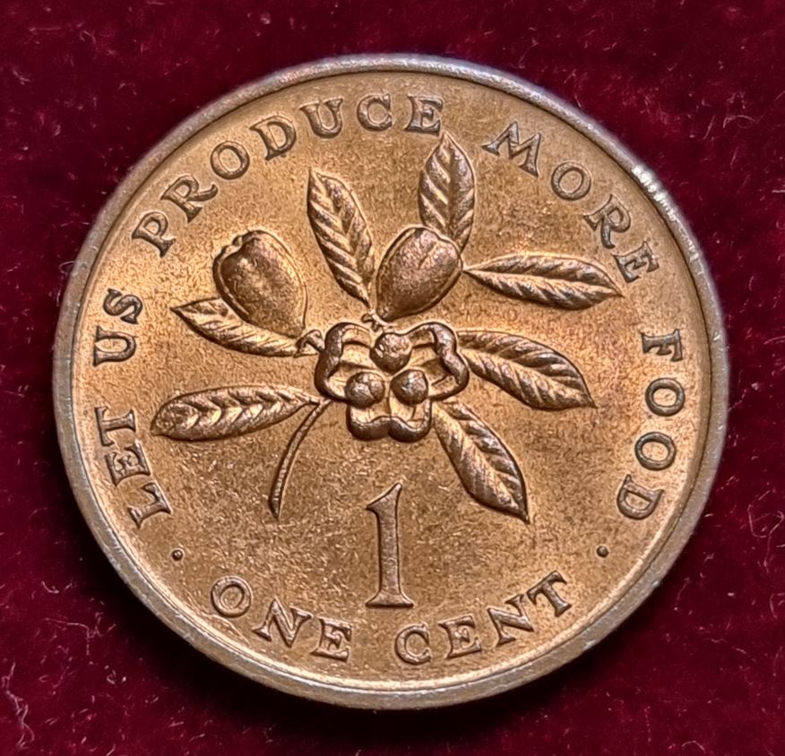4729(11) 1 Cent (Jamaika / FAO) 1971 in UNC ....................................... von Berlin_coins