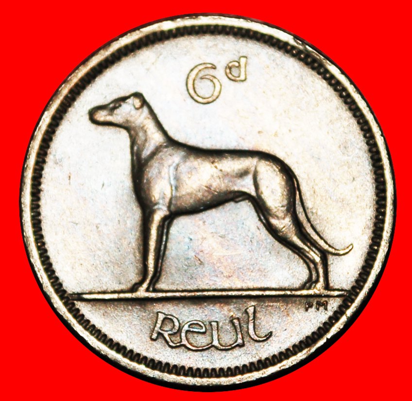 Ⰶ IRISH WOLFHOUND: IRELAND ★ 6 PENCE 1963! ★LOW START ★ NO RESERVE!