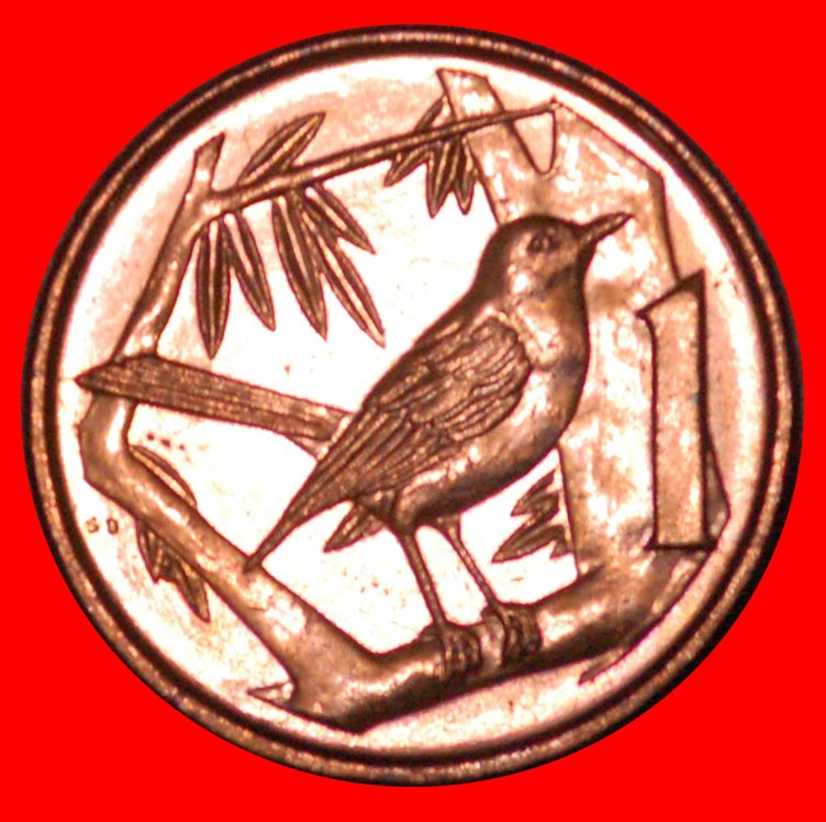  * GREAT BRITAIN (1992-1996): CAYMAN ISLANDS ★ 1 CENT 1996! BIRD MINT LUSTRE! LOW START ★ NO RESERVE!   