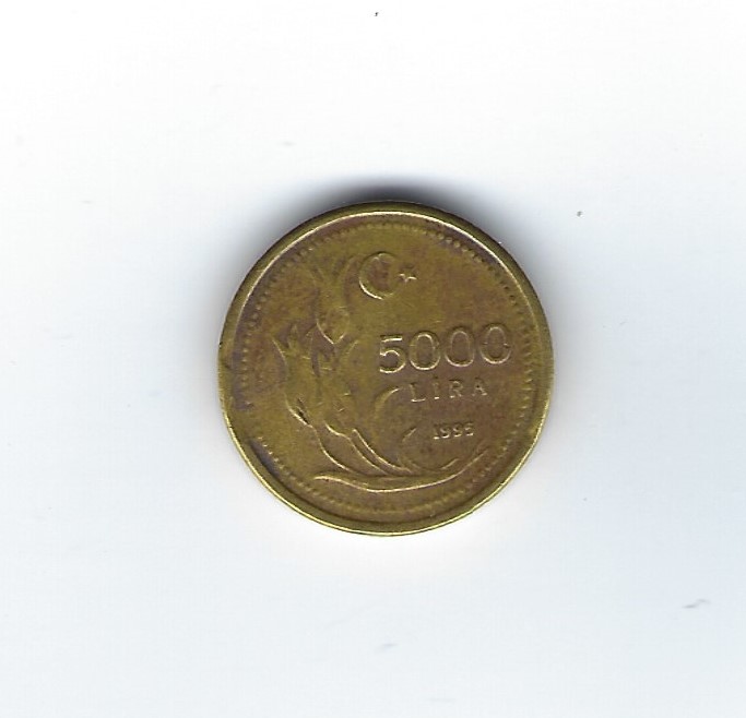  Türkei 5000 Lira 1995   