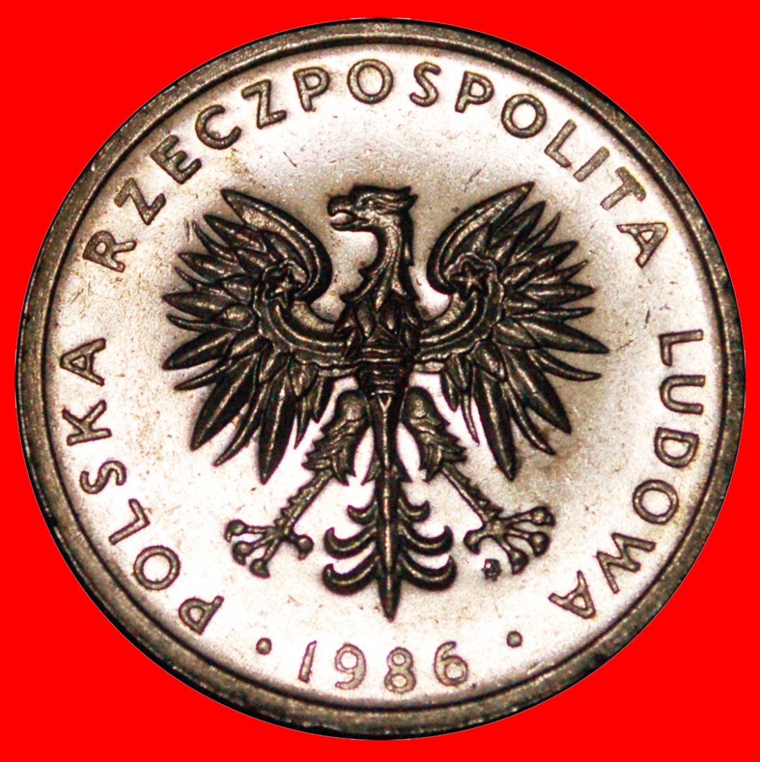  * STARS ON EAGLE: POLAND ★ 20 ZLOTY 1986! DISCOVERY COIN! ★LOW START ★ NO RESERVE!   