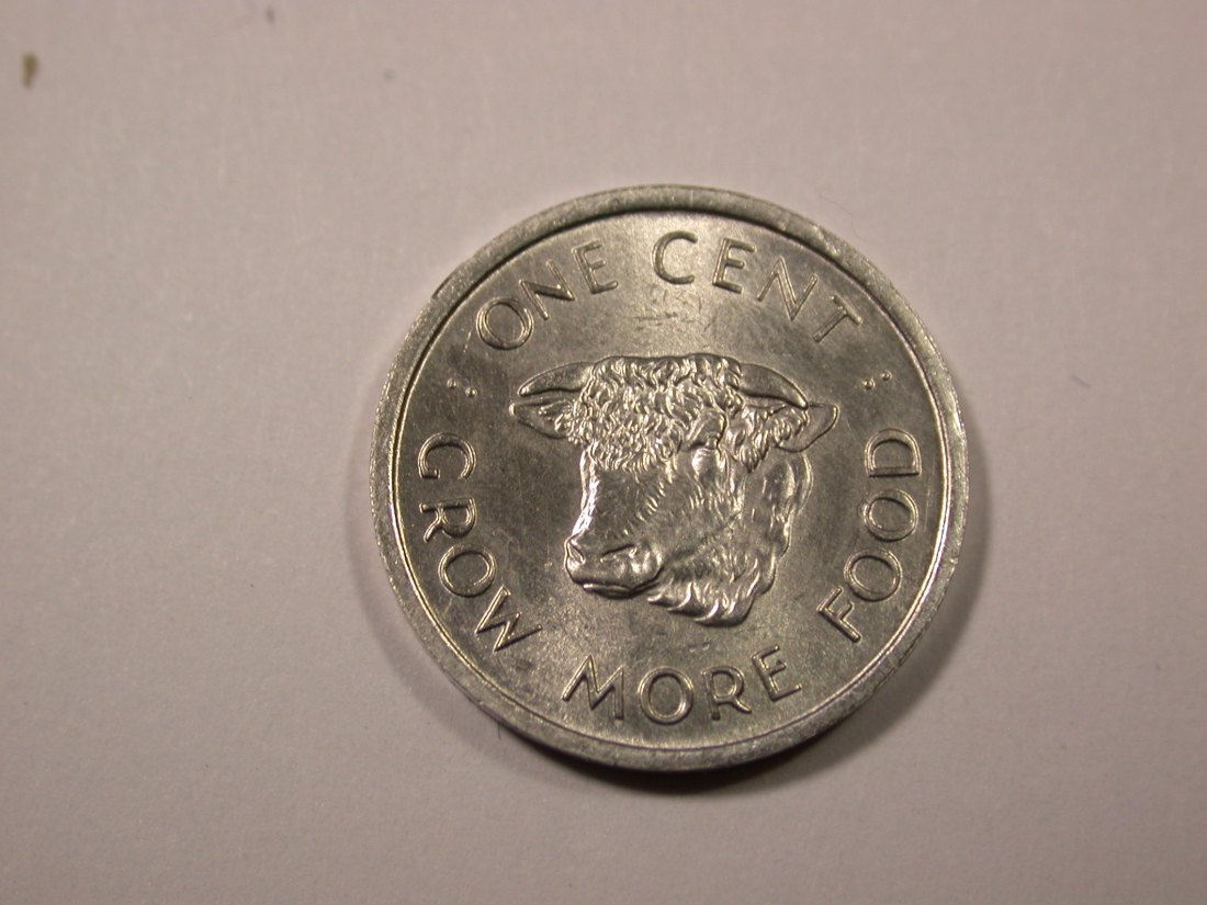 F16 Seychellen FAO 1 Cent 1972 in UNC, f.ST Originalbilder