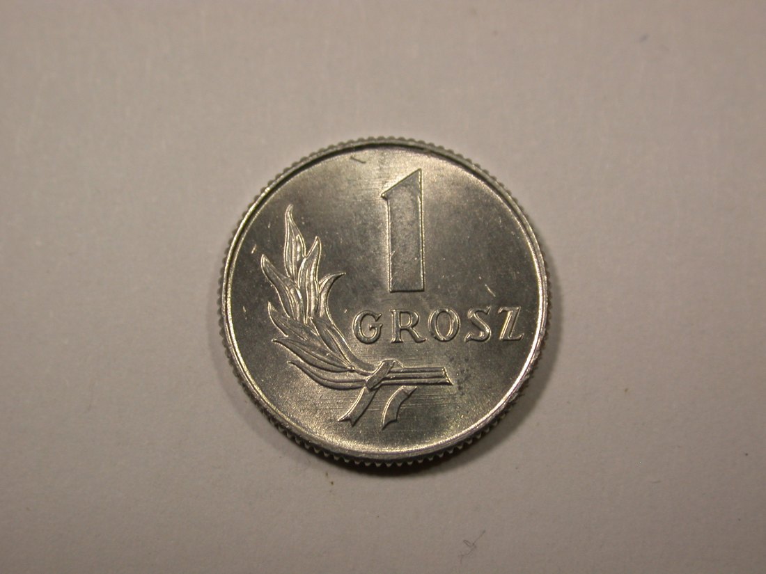 F16 Polen 1 Grosz 1949 in UNC, f.ST Originalbilder