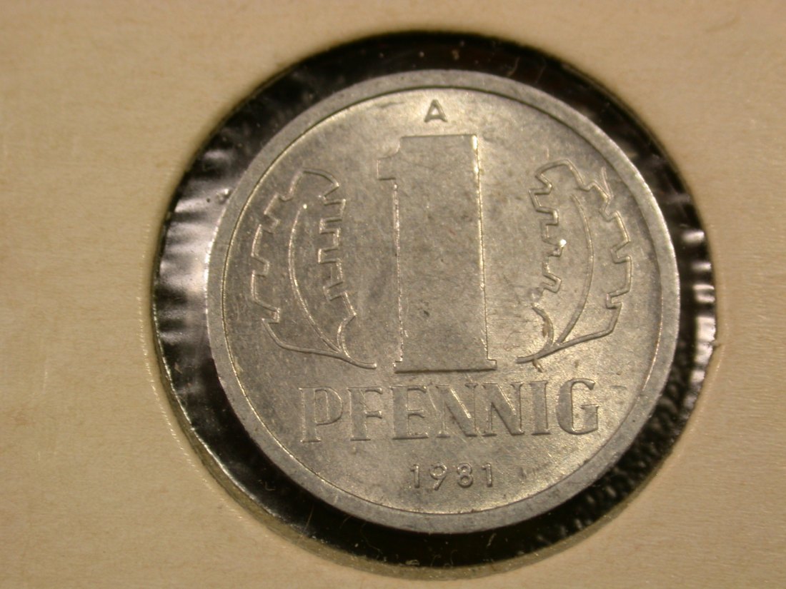  F04  DDR  1 Pfennig 1981 in vz+  Originalbilder   