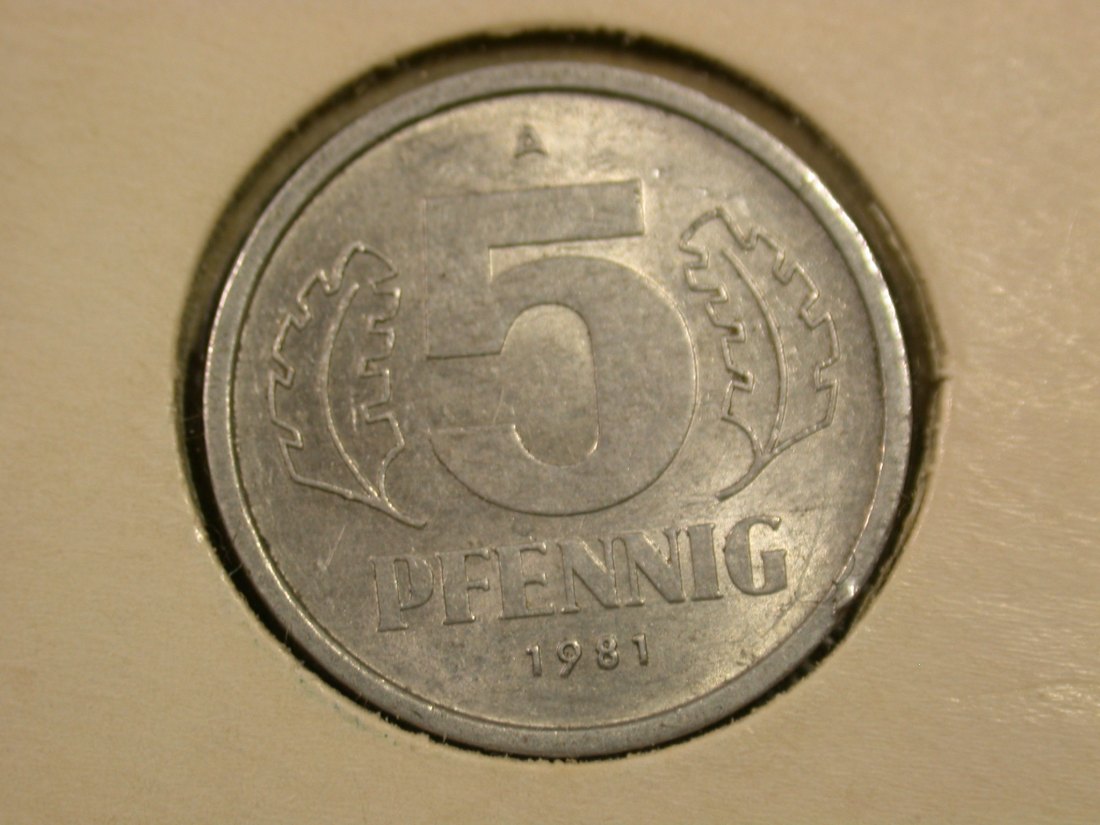 F04 DDR 5 Pfennig 1981 in vz-st Originalbilder