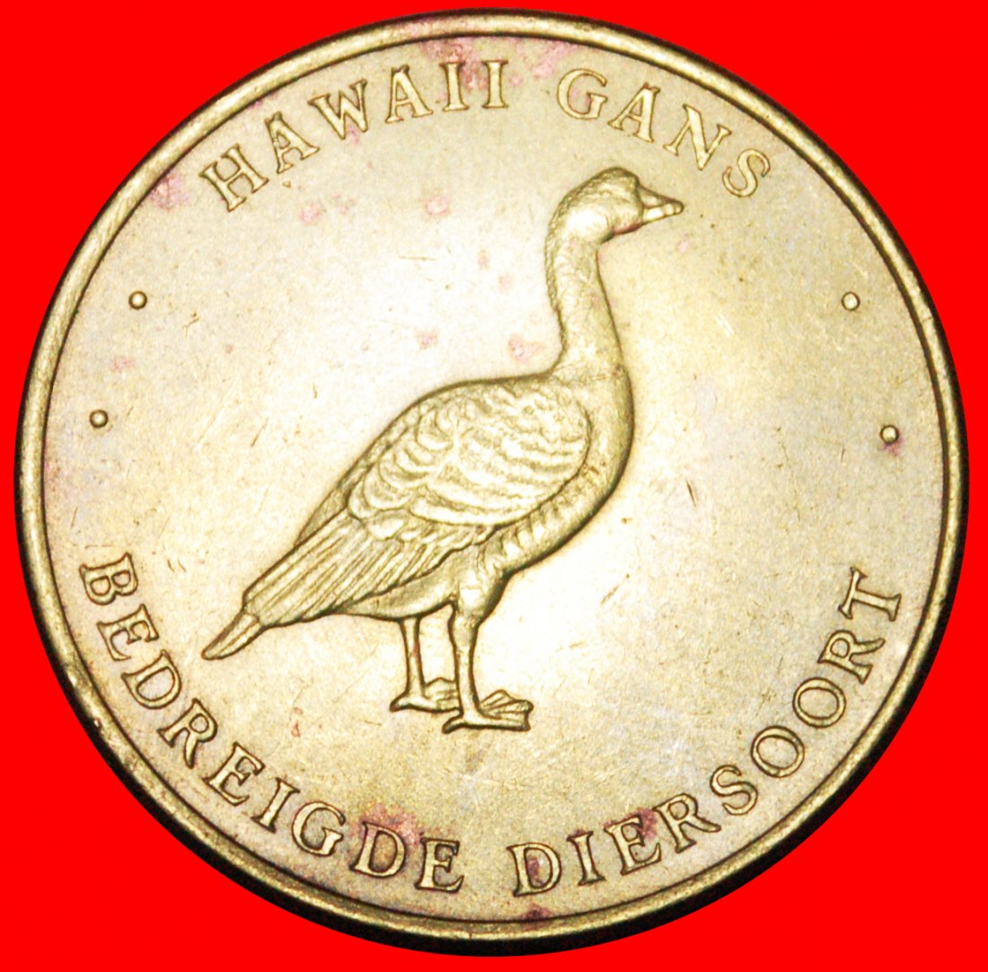 * WWF PANDA: NETHERLANDS ★ HAWAIIAN GOOSE! ERROR! LOW START ★ NO RESERVE!