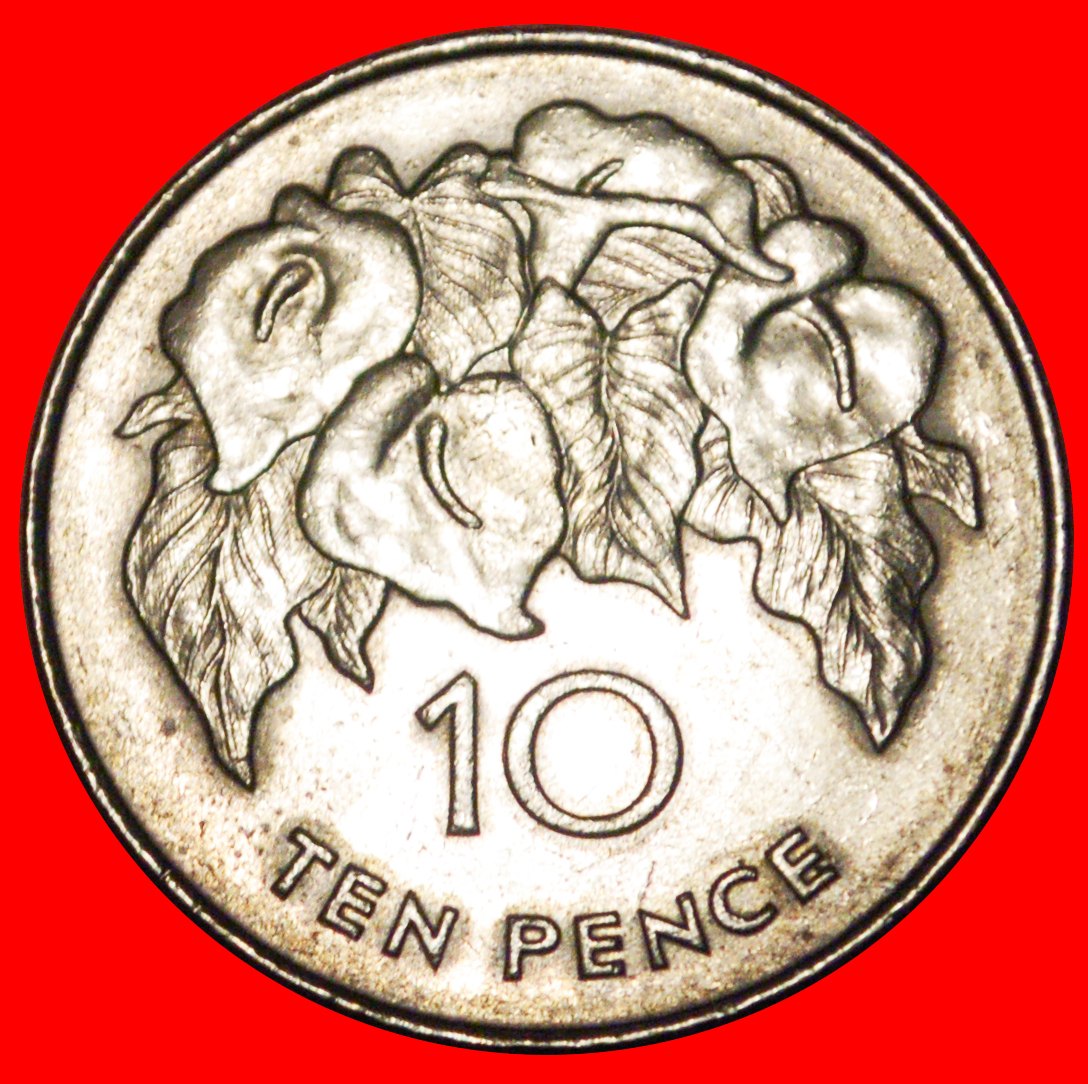 * ORCHIDEEN: ST. HELENA & ASCENSION ★ 10 PENCE 1984! OHNE VORBEHALT!