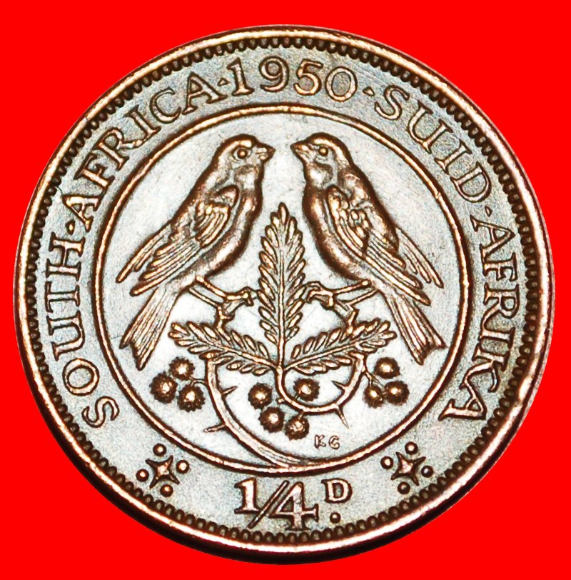 * 2 VERKAUFT KAPSPERLINGE: SÜDAFRIKA ★ 1/4 PENNY 1950! Georg VI. (1937-1952) OHNE VORBEHALT!