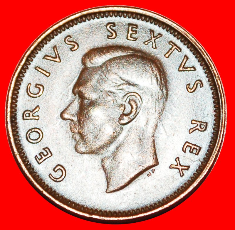  * 2 VERKAUFT KAPSPERLINGE: SÜDAFRIKA ★ 1/4 PENNY 1950! Georg VI. (1937-1952) OHNE VORBEHALT!   