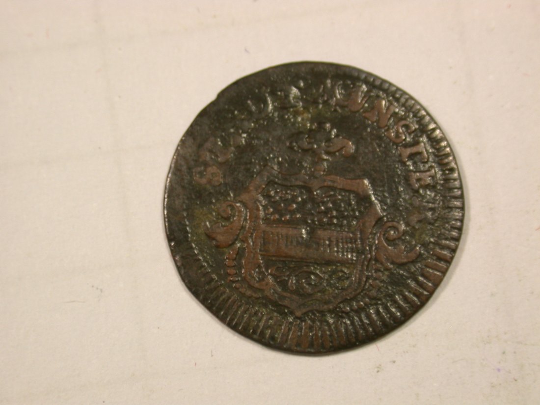  G11  Münster  1 Pfennig 1750  in ss   Originalbilder   