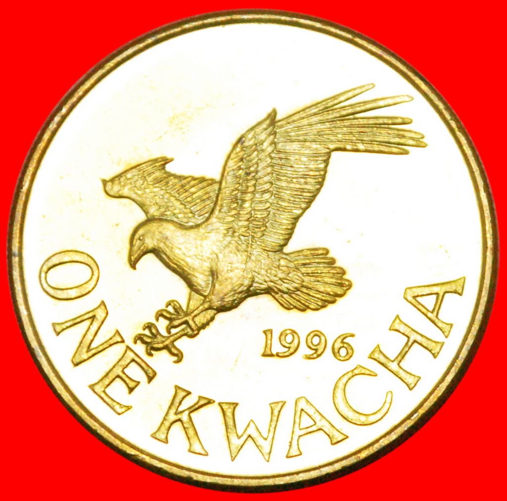  * SCHREISEEADLER: MALAWI★ 1 KWACHA 1996! OHNE VORBEHALT!   