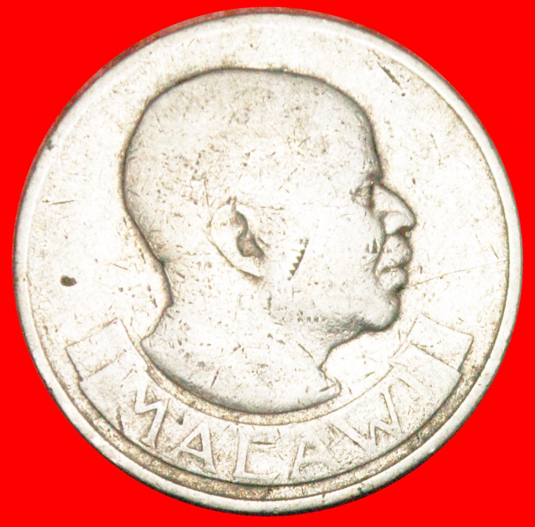  * ELEFANT: MALAWI ★ FLORIN 1964! JAHR=TYP! OHNE VORBEHALT!   