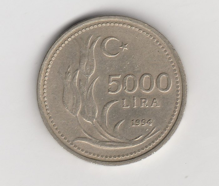  5000 Lira Türkei 1994 (M689)   
