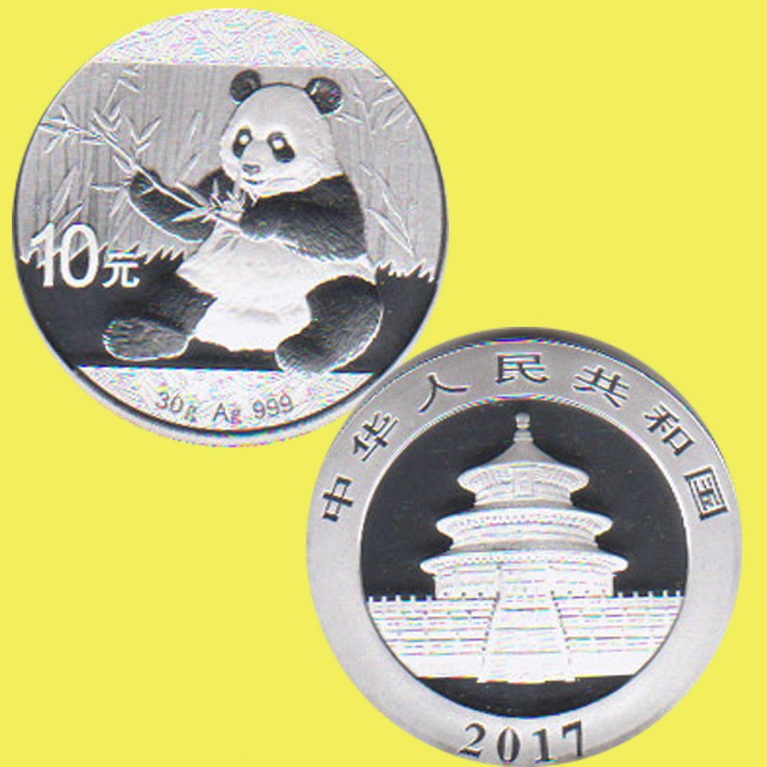  China 10 Yuan Silbermünze *Panda* 2017 30g Silber   