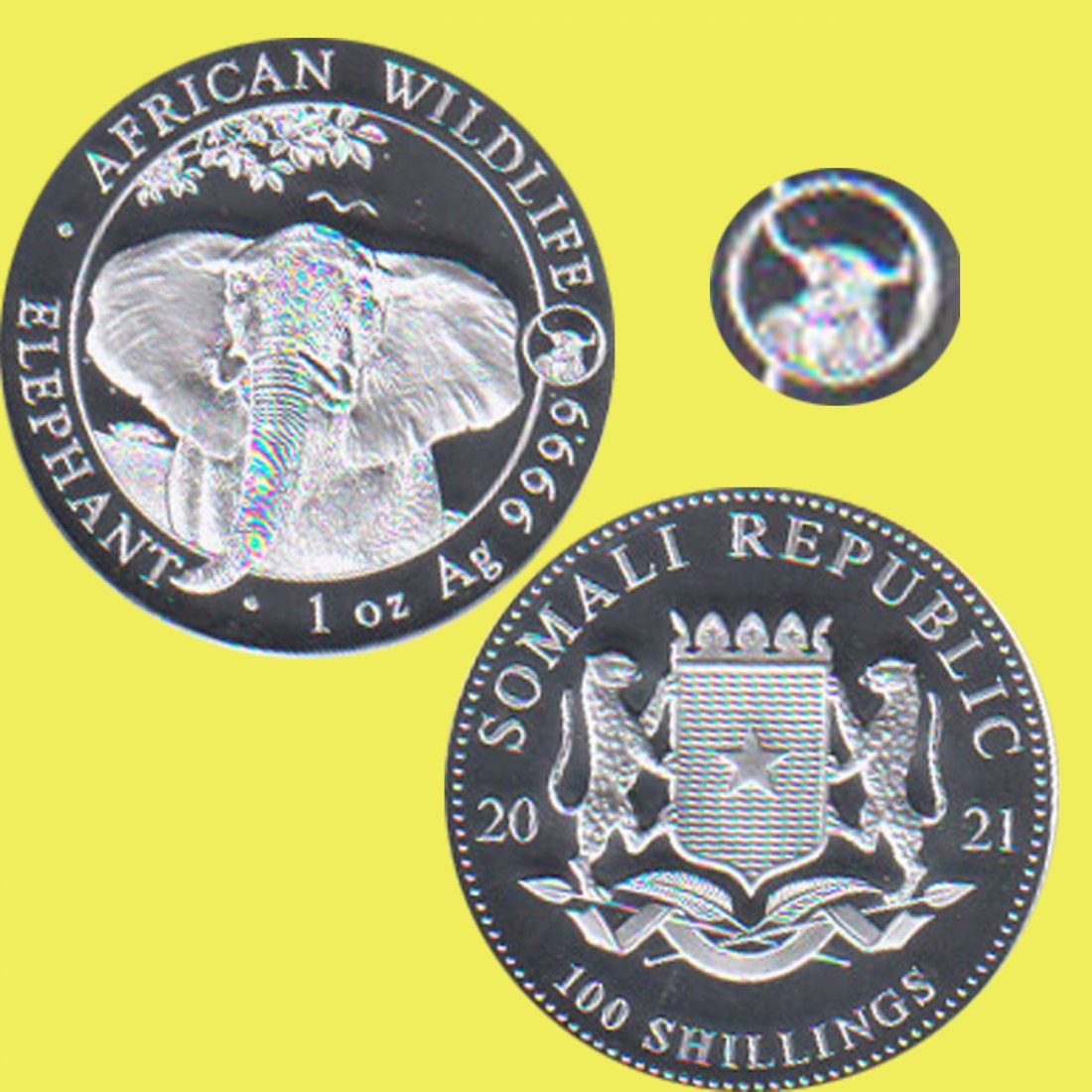  Somalia 100 Sh Silbermünze *Elefant mit Privy Ochse* 2021 1oz Silber nur 10.000St!   