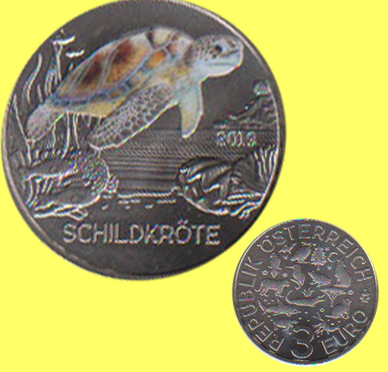  Offiz. 3 Euro-Farbmünze Österreich *Tiertaler - Schildkröte* 2019 Nachtaktive Münzen   