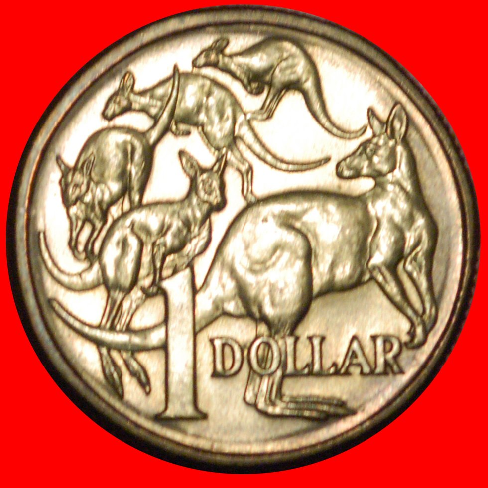  * 5 KANGAROOS (1985-1998): AUSTRALIA 1 DOLLAR 1985 MINT LUSTRE! FIRST YEAR! LOW START ★ NO RESERVE!   