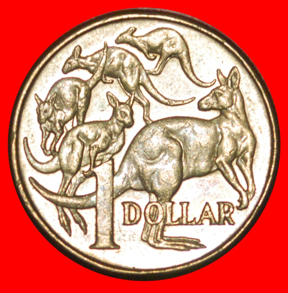  * 5 KANGAROOS (2000-2019): AUSTRALIA 1 DOLLAR 2013! LOW START ★ NO RESERVE!   