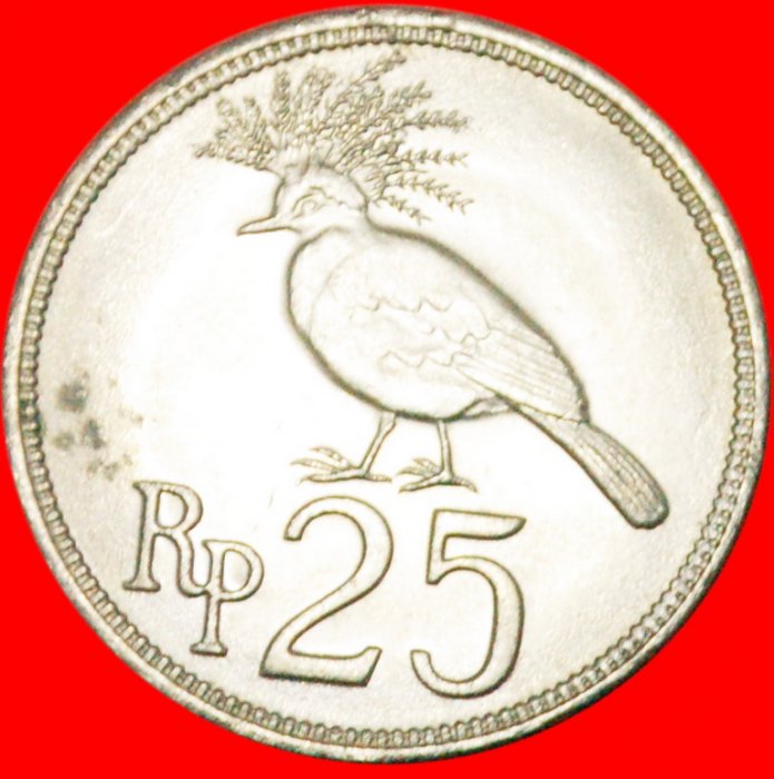  * PIGEON: INDONESIA ★ 25 RUPIAH 1971! LOW START ★ NO RESERVE!   