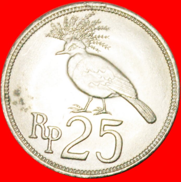  * TAUBE: INDONESIEN ★ 25 RUPIAH 1971! OHNE VORBEHALT!   