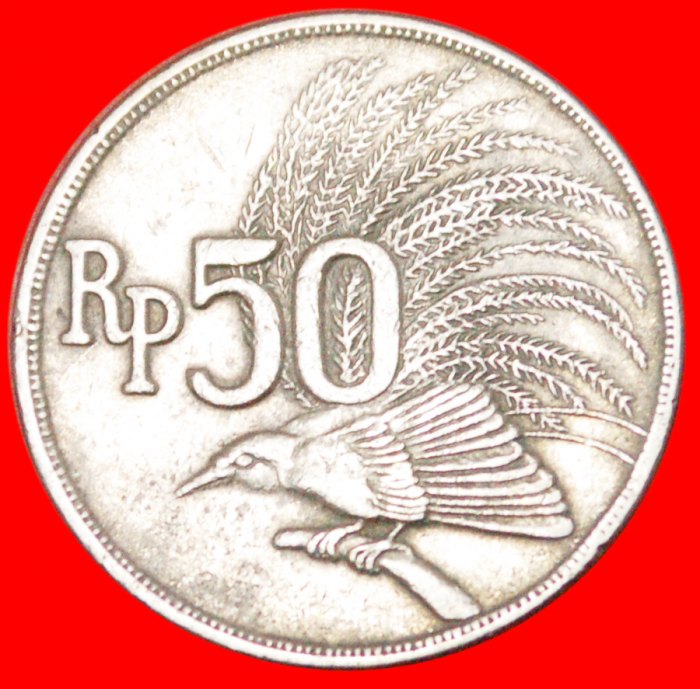  * PARADIESVOGEL ★ INDONESIEN ★ 50 RUPIAH 1971! OHNE VORBEHALT!   