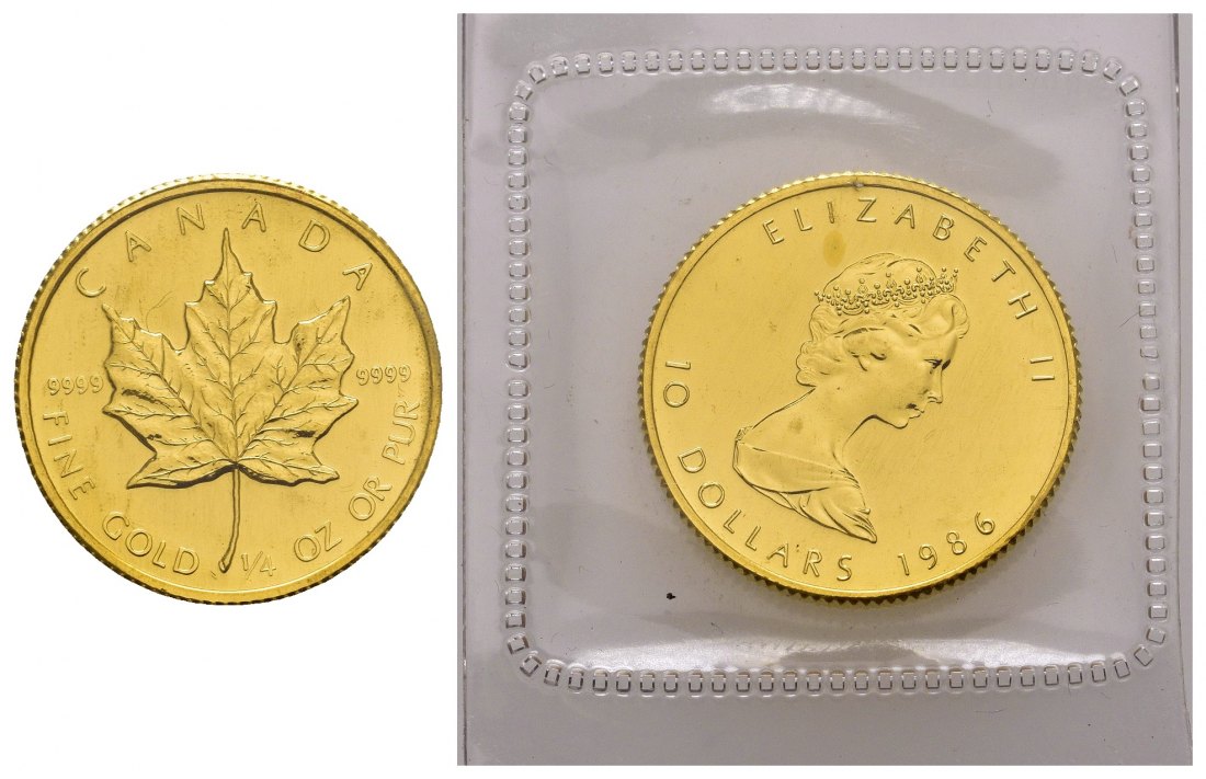 PEUS 7984 Kanada 7,78 g Feingold. Maple Leaf 10 Dollars GOLD 1/4 Unze 1986 Uncirculated (eingeschweißt)
