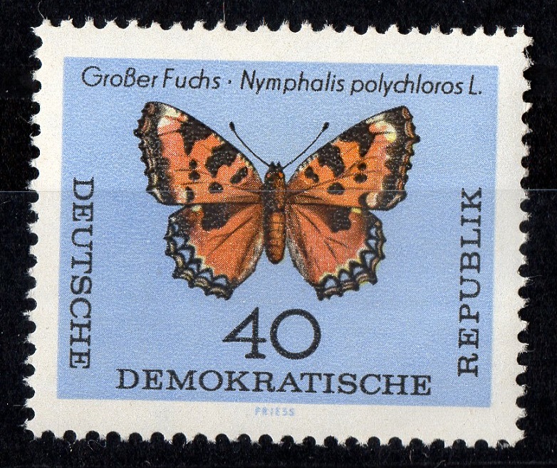  DDR 1964 Mi. 1008 **Postfrisch / Mi 7,- €   