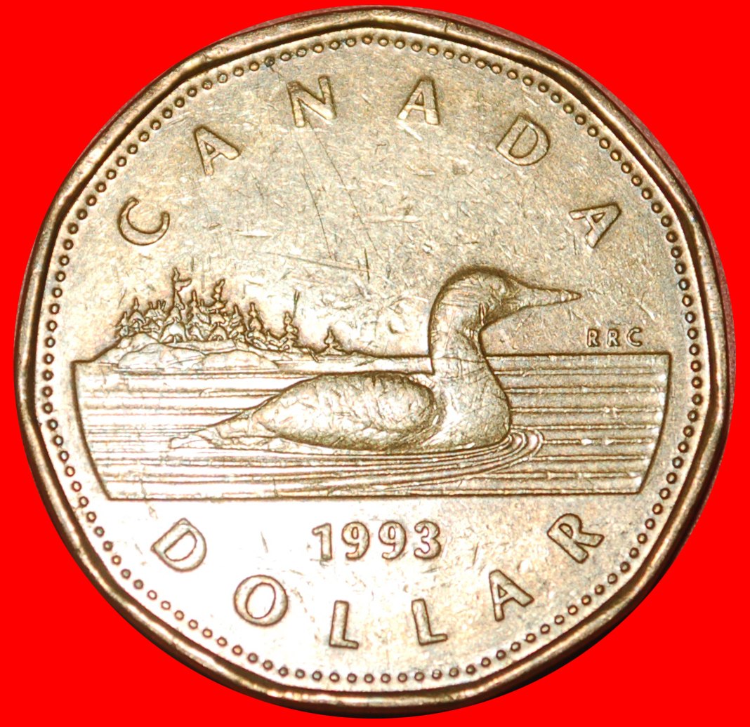  * LUCKY LOONIE (1990-2003): CANADA ★ 1 DOLLAR 1993! LOW START ★ NO RESERVE!   