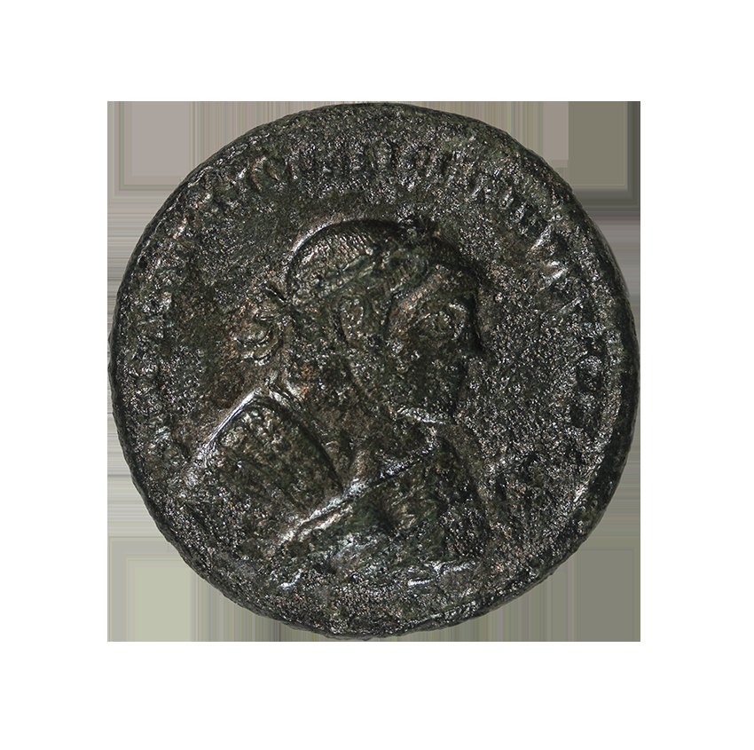 Maximinus 305-306, AE Folis 26 mm ,9,00 g.