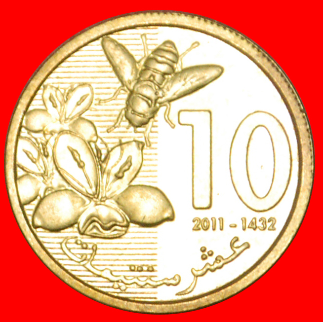  * BIENE: MAROKKO ★ 10 CENTIME 1432-2011 uSTG STEMPELGLANZ! MOHAMMED VI. (1999–) OHNE VORBEHALT!   