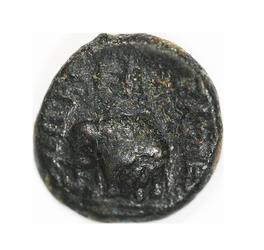 Seleukid, Antiochos III 223-187 BC,AE 11 mm 2,20 g. Elephant,