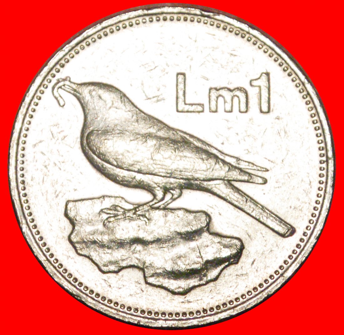  * VOGEL (1991-2007): MALTA ★ 1 PFUND 1992! OHNE VORBEHALT!   