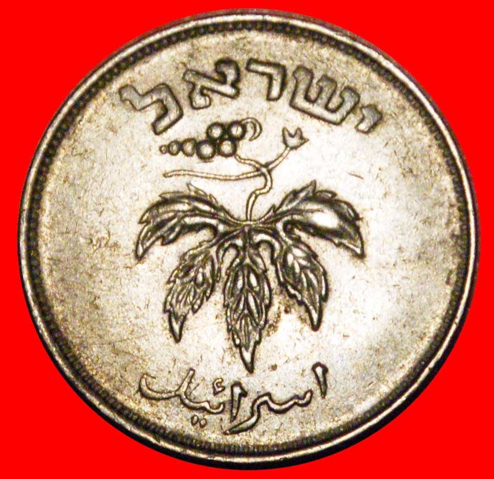  * GRAPE (1949-1954): PALESTINE (israel) ★ 50 PRUTA 5714 (1954) NON-MAGNETIC! LOW START ★ NO RESERVE!   