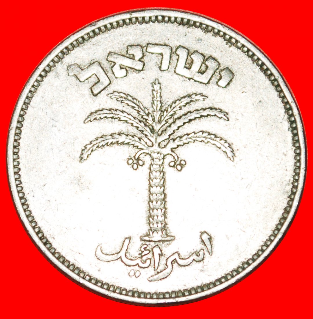  * PALME (1949-1955): PALÄSTINA (israel) ★ 100 PRUTA 5715 (1955)! ★OHNE VORBEHALT!   