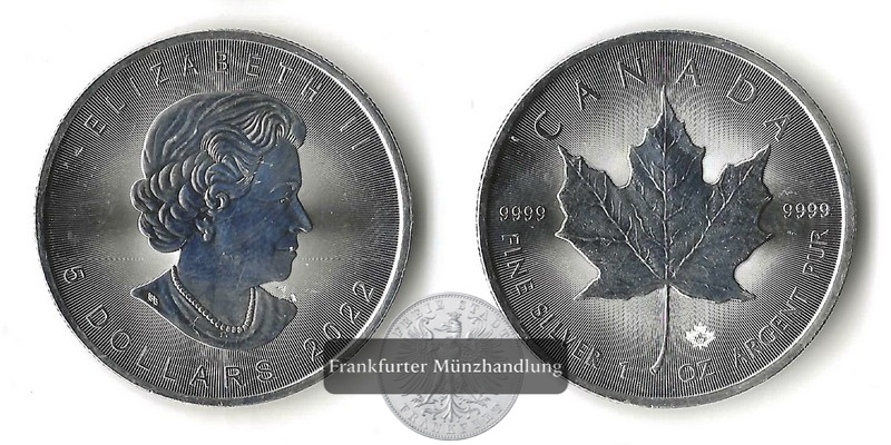  Kanada 200 x 5 Dollar diverse Jahrgänge Maple Leaf MM-Frankfurt Feinsilber: ges. 6.220g   