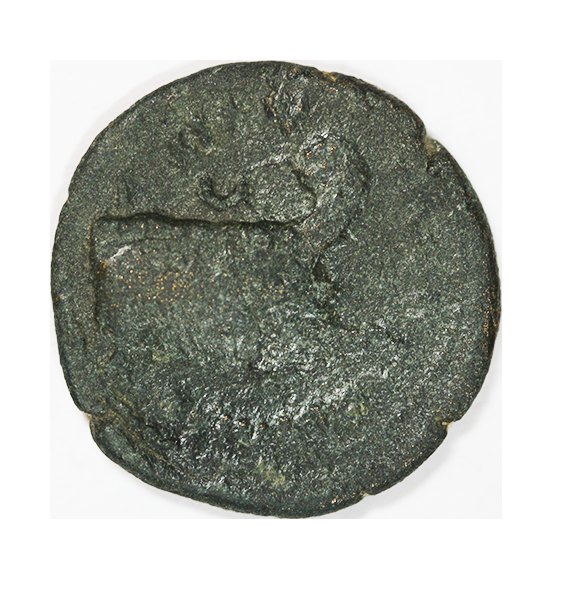  Antoninus Pius 138-161,Coela,Chersonesus,AE20 mm.,5,23g.   