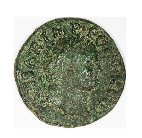 Titus as Caesar 76-77 AD,Antioch,Syria,AE 24mm,6,49g.   