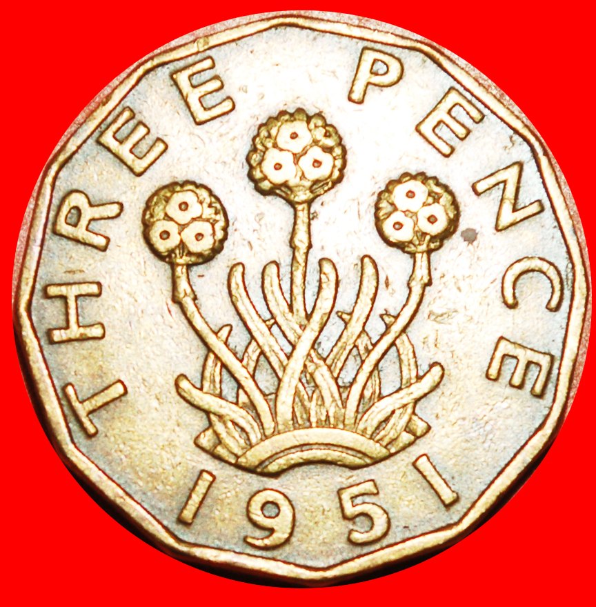  * GRASNELKEN (1949-1952): GROSSBRITANNIEN ★ 3 PENCE 1951 GEORG VI. (1937-1952)! OHNE VORBEHALT!   