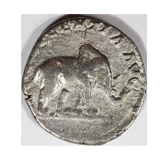 Septimius Severus 193-211 AD, AR Denarius , 2,50 g.Elephant