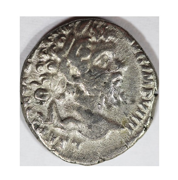  Septimius Severus 193-211 AD, AR Denarius , 2,50 g.Elephant   