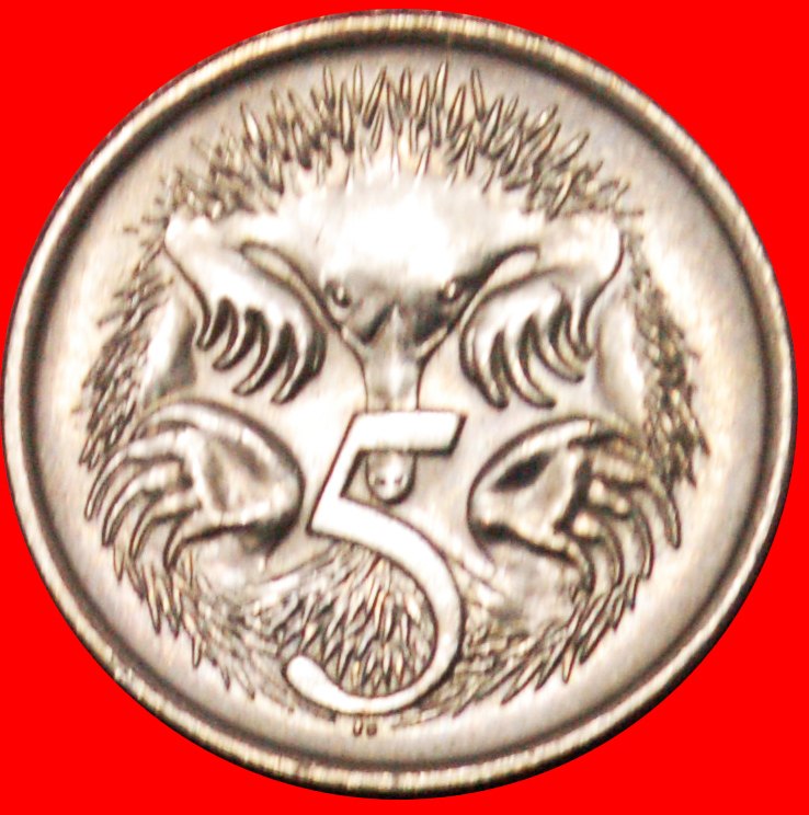  * ECHIDNAS (1966-2022): AUSTRALIA ★ 5 CENTS 1980! MINT LUSTRE! ★LOW START ★ NO RESERVE!   