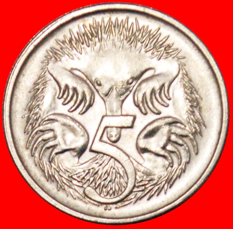 * ECHIDNAS (1966-2022): AUSTRALIA ★ CANADA 5 CENTS 1981 RARE! MINT LUSTRE! ★LOW START ★ NO RESERVE!