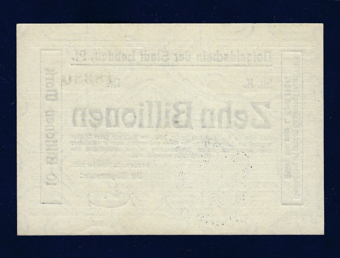  10 Billionen Mark 1923 Landau in der Pfalz Notgeldschein   